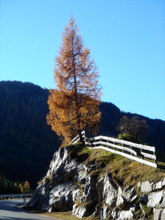 Alpengasthof Zollwirt Sankt Jakob in Defereggen Εξωτερικό φωτογραφία