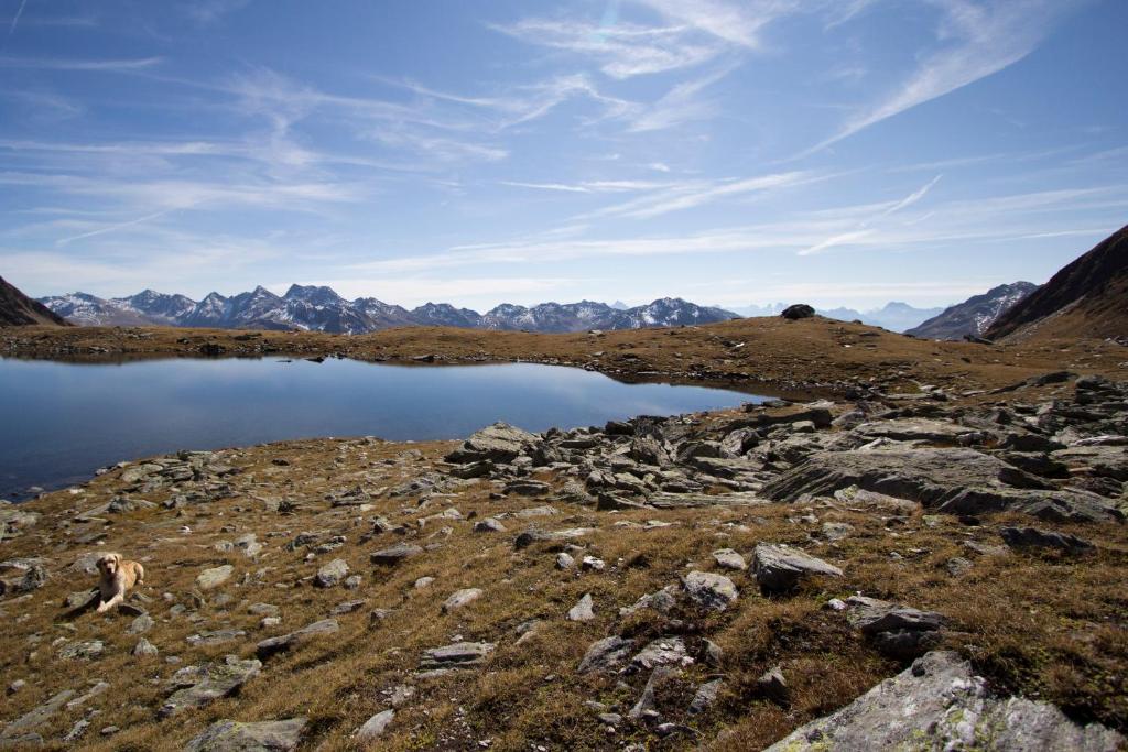 Alpengasthof Zollwirt Sankt Jakob in Defereggen Εξωτερικό φωτογραφία